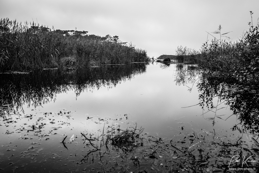 passage pont rentrant boulot