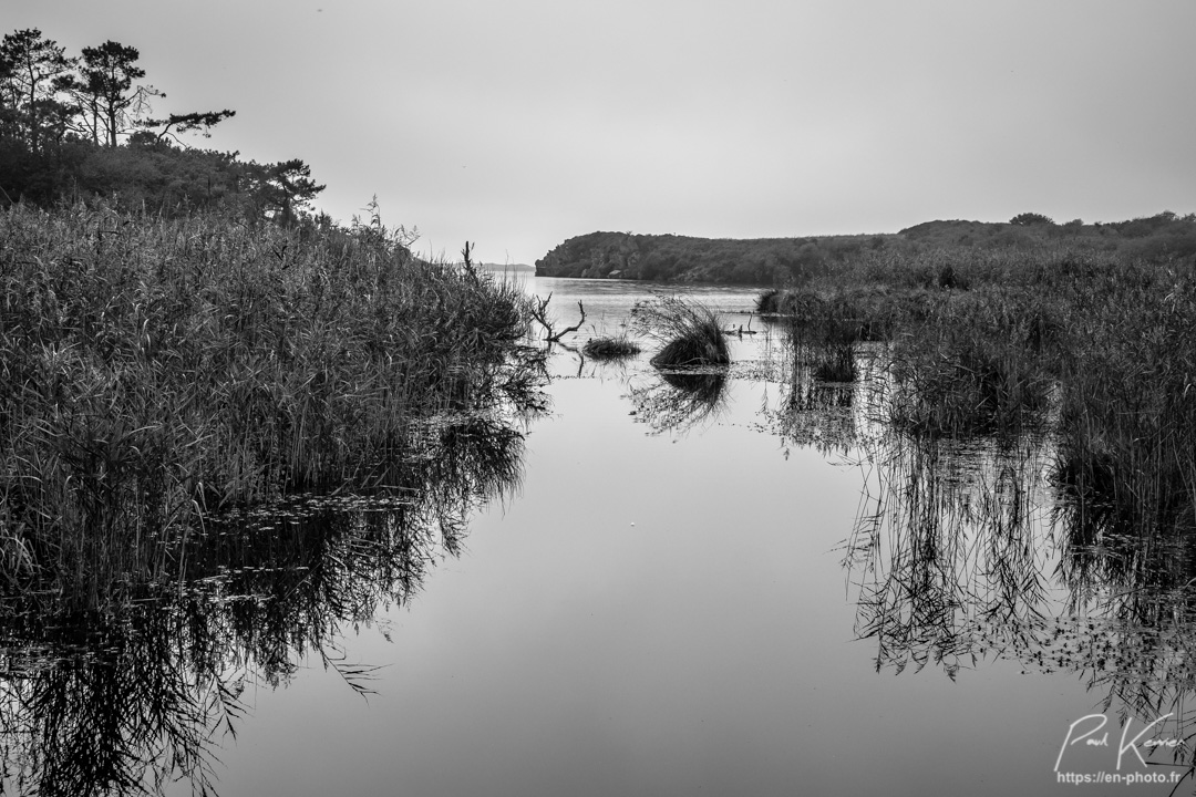 passage pont rentrant boulot