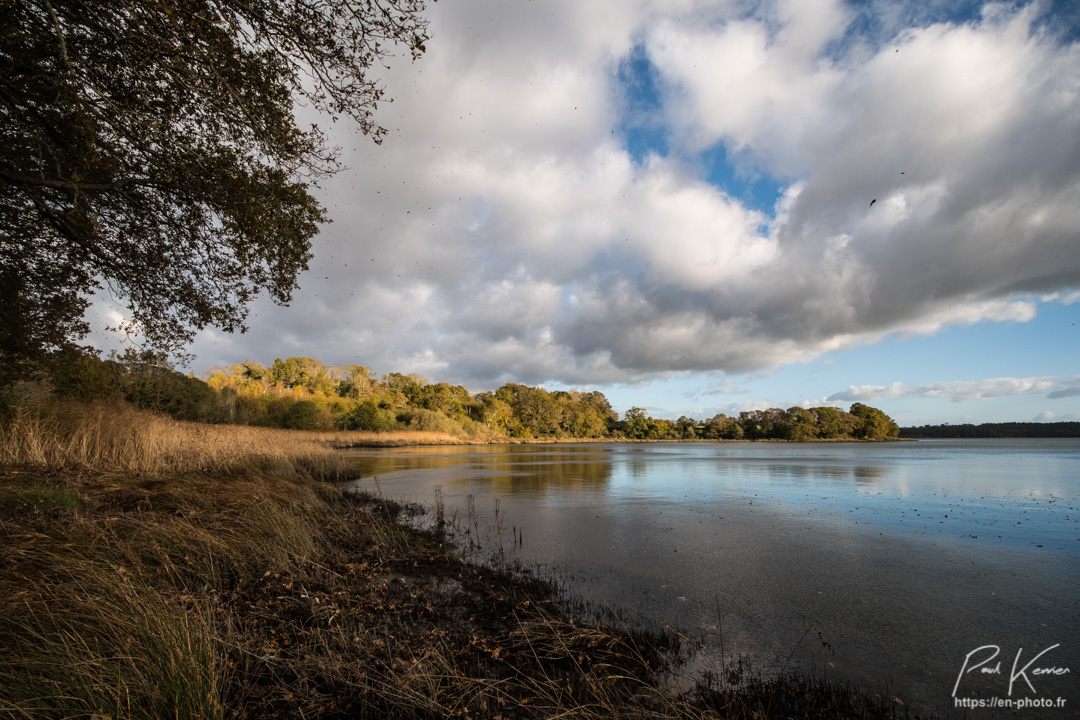 reflet d'automne