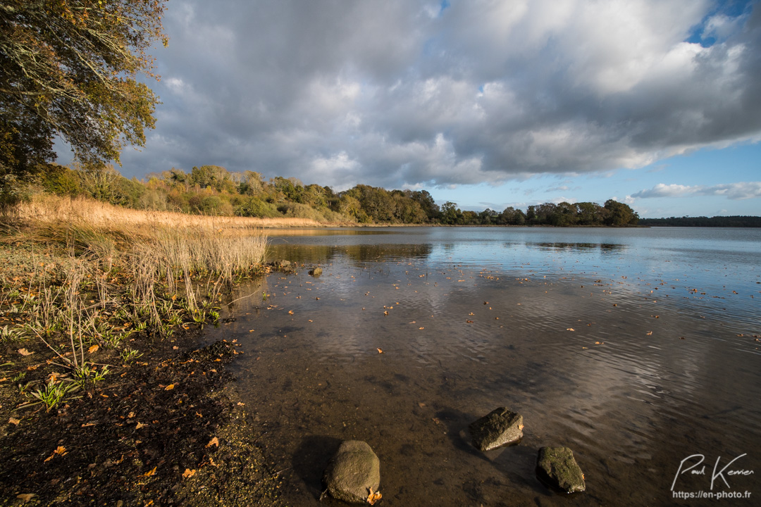 reflet d'automne