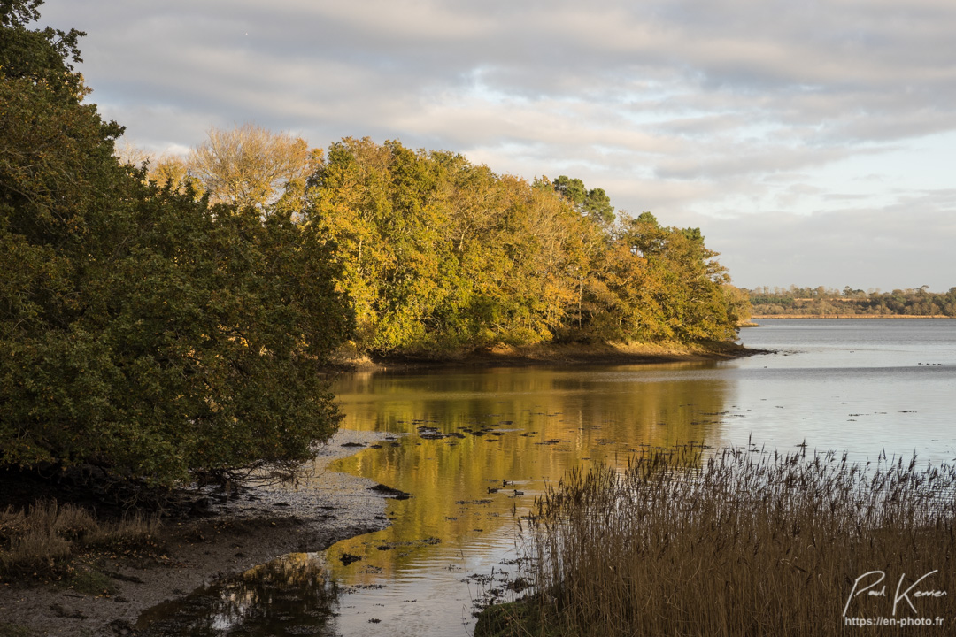 reflet d'automne