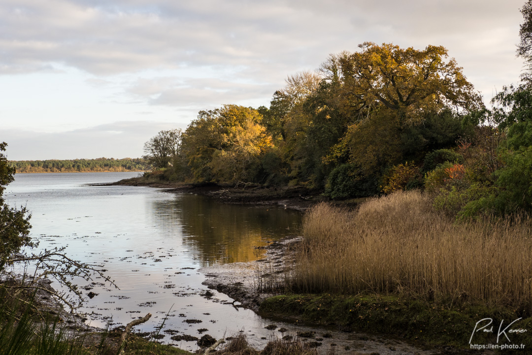 reflet d'automne