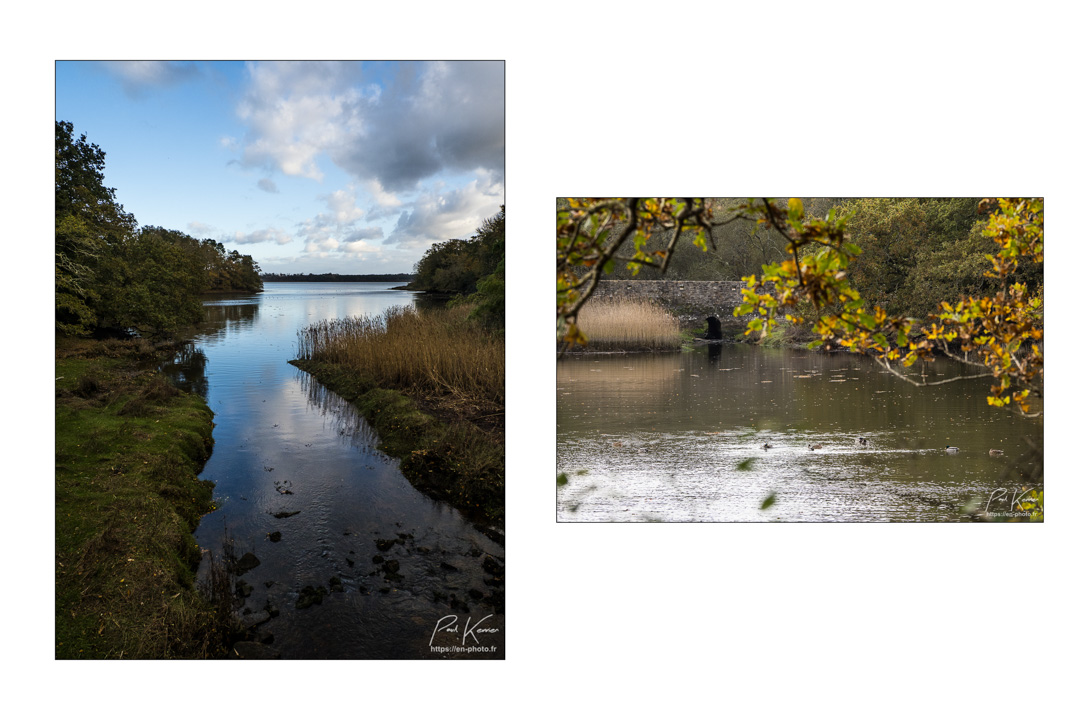 reflet d'automne