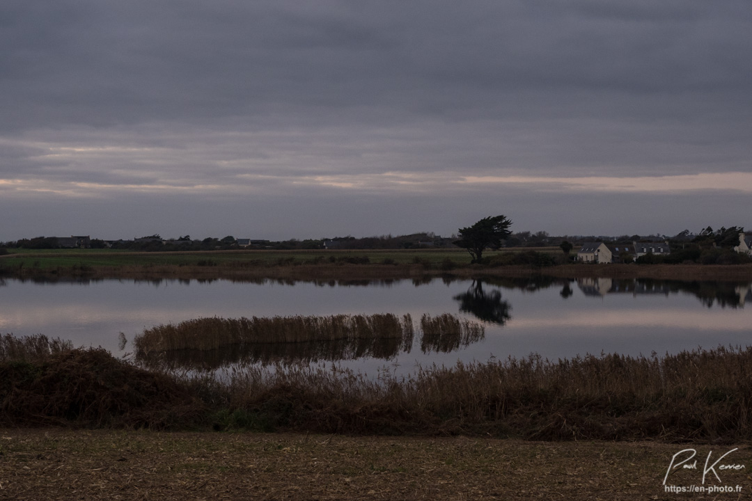 reflet d'automne